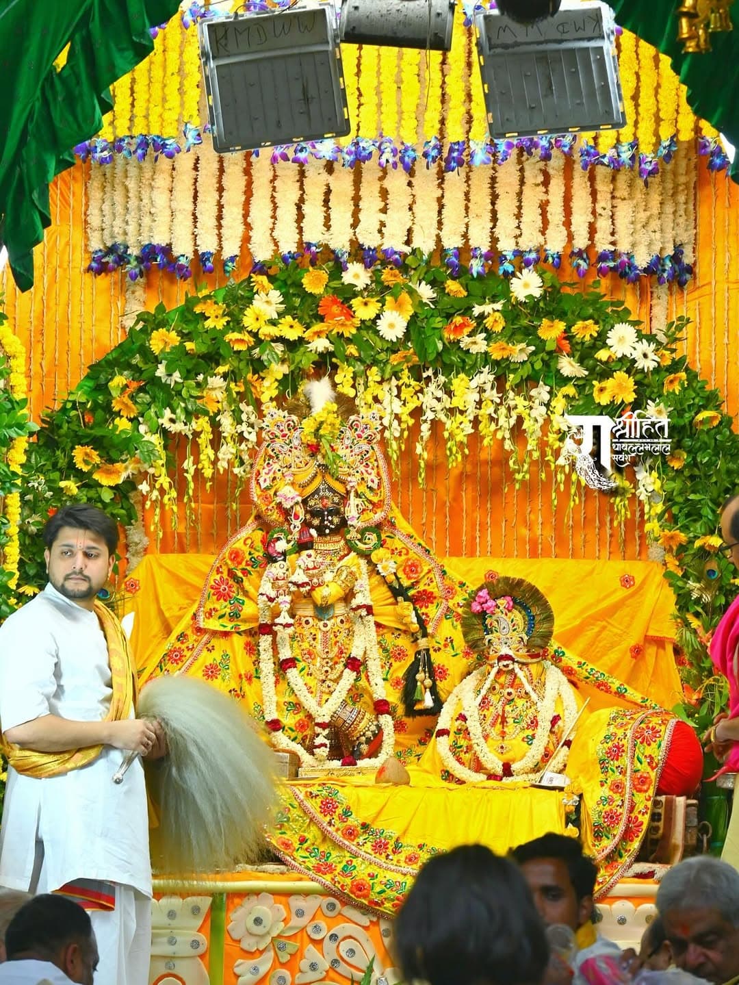 पाटोत्सव (कार्तिक सुदी तेरस)