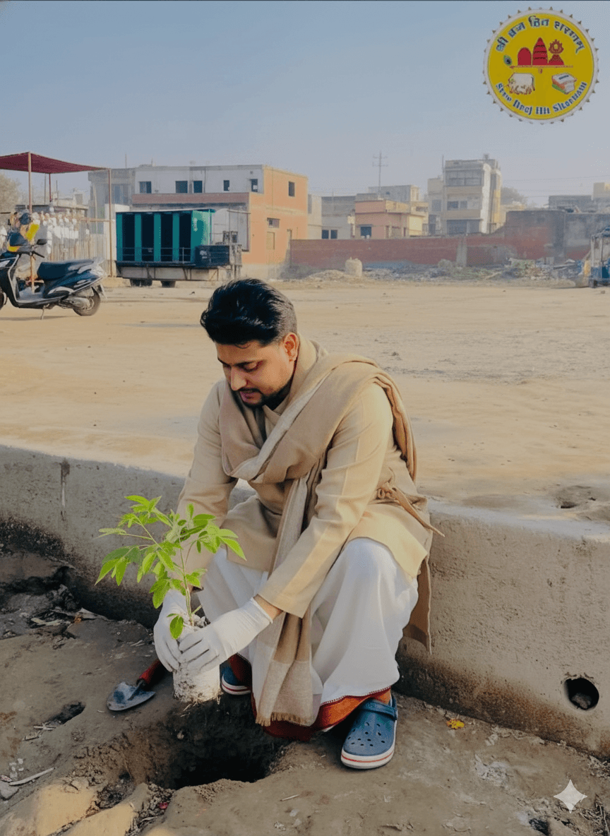 वृक्षा रोपण